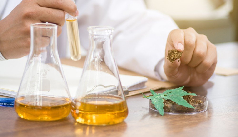 Simplify Cannabis Sample Preparation with Chromatrap®’s handy Homogeniser